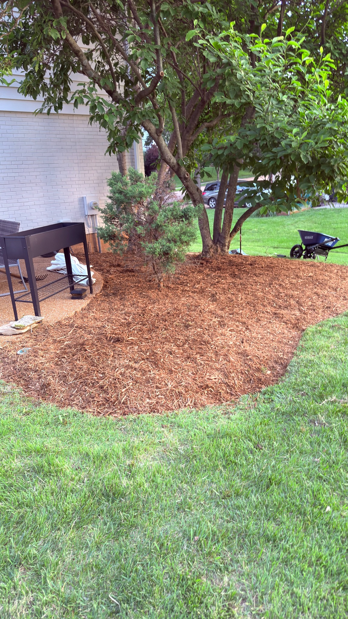 Fresh mulch installed beneath mature trees in a residential yard