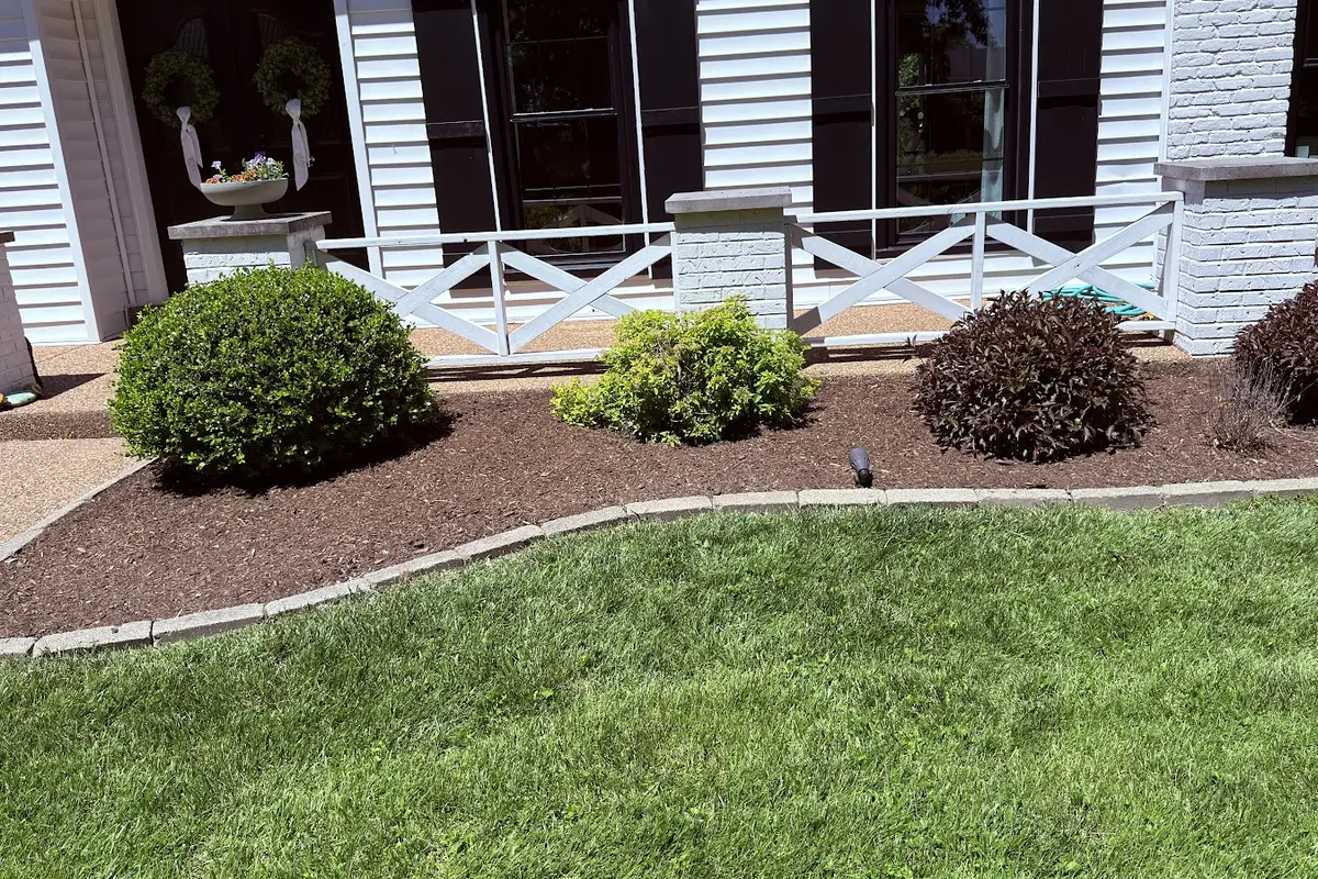 Clean lawn edge along a residential walkway and planting bed